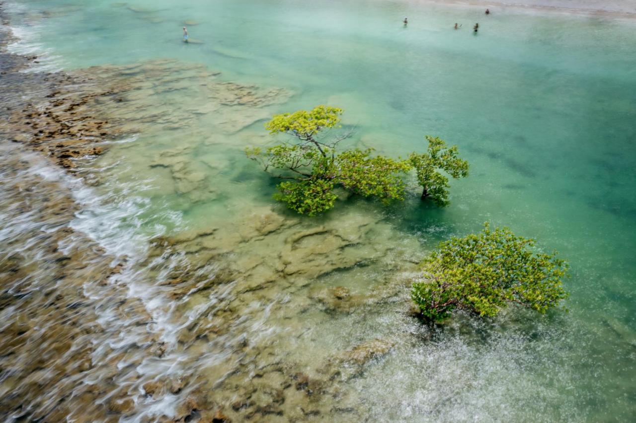 Pontal Dos Carneiros Beach Bungalows ปรายา ดอส การ์เนย์รอส ภายนอก รูปภาพ