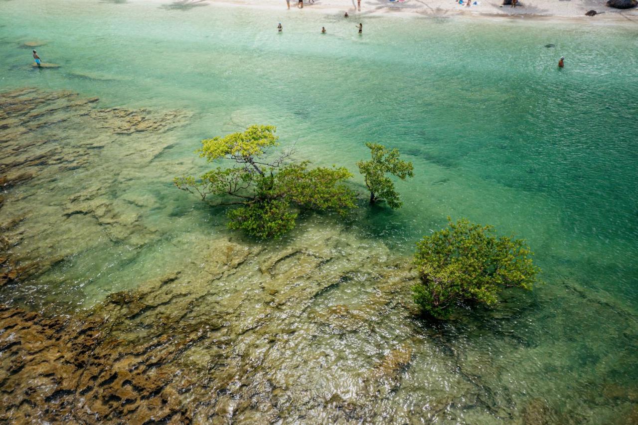 Pontal Dos Carneiros Beach Bungalows ปรายา ดอส การ์เนย์รอส ภายนอก รูปภาพ